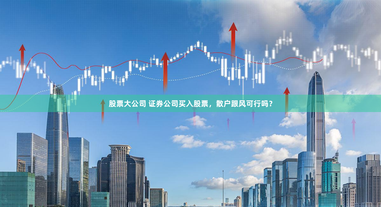 股票大公司 证券公司买入股票，散户跟风可行吗？