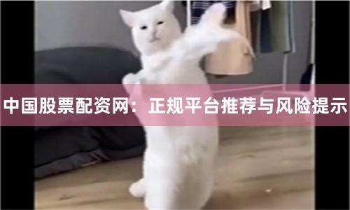 中国股票配资网：正规平台推荐与风险提示