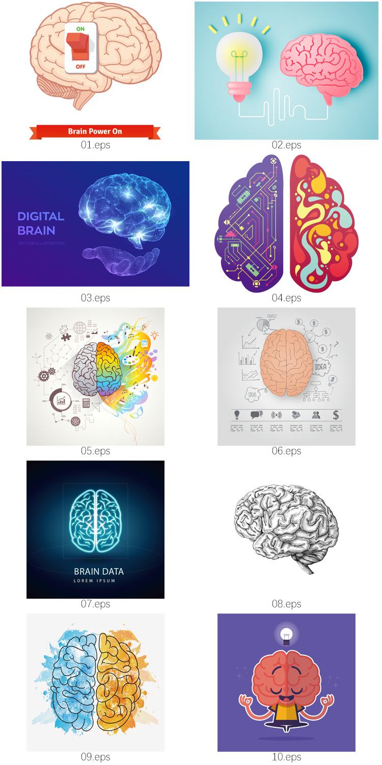 大脑创意思维左右脑分工信息图表手绘艺术插画AI矢量图设计素材 第3张