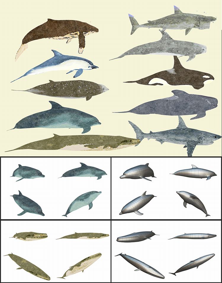 MAX FBX OBJ 10个低面多边形海洋鱼类海豚,鲸鱼鲨鱼三维模型A1034 第1张