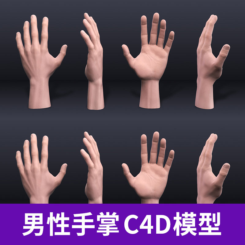 stl C4D OBJ写实逼真人物人体部件骨骼男性手掌三维模型素材A1216图片