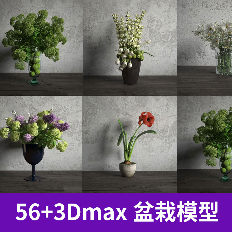 三维素材56种 3D Max 小清新室内盆栽插花植物花卉花草模型A1222图片