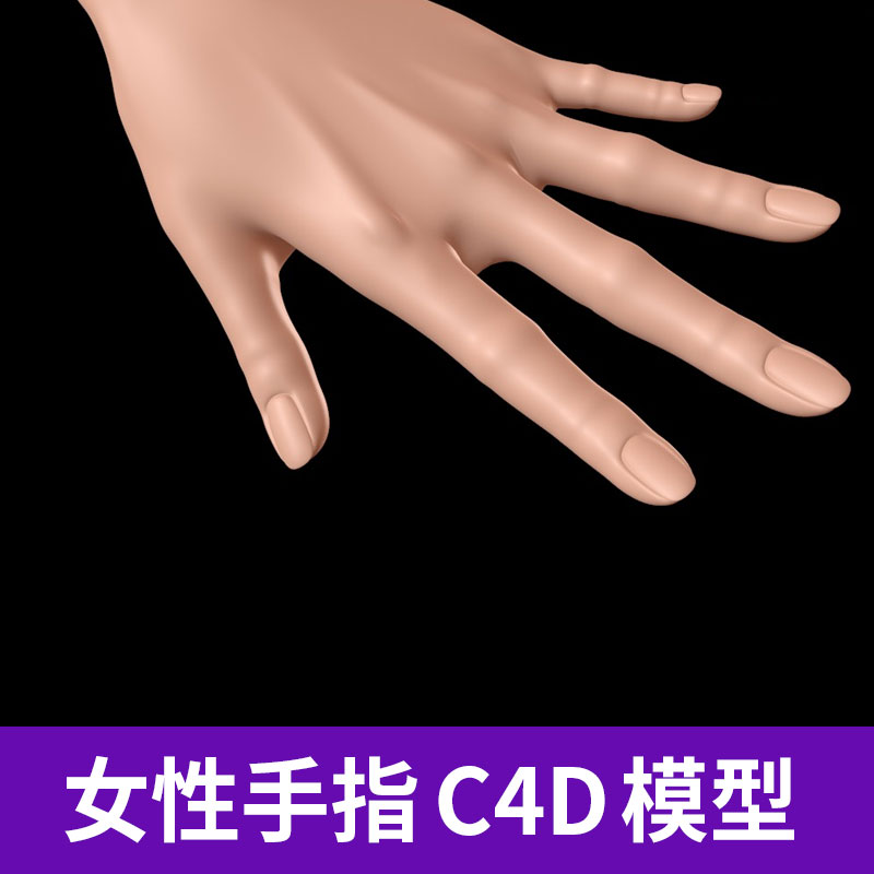 OBJ逼真写实人物人体部件器官女性手指纹理C4D三维模型素材A1274图片