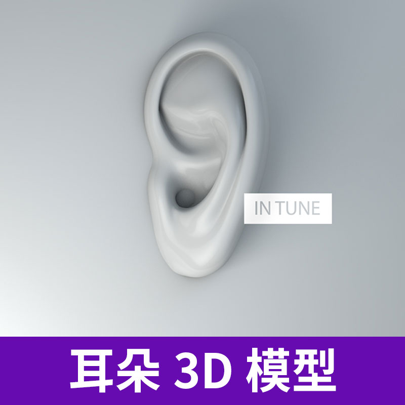 C4D三维人物人体器官角色部件耳朵渲染材质贴图3D模型素材A1223图片