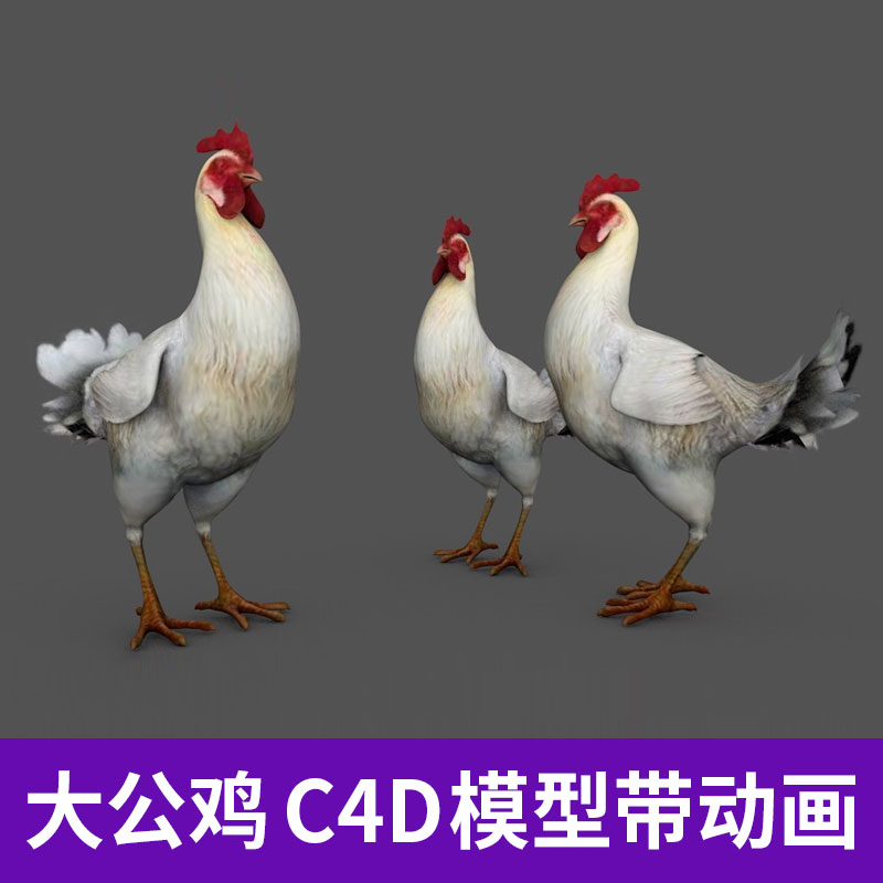 动物大白公鸡大公鸡C4D动画绑定三维模型纹理材质贴图素材A1256