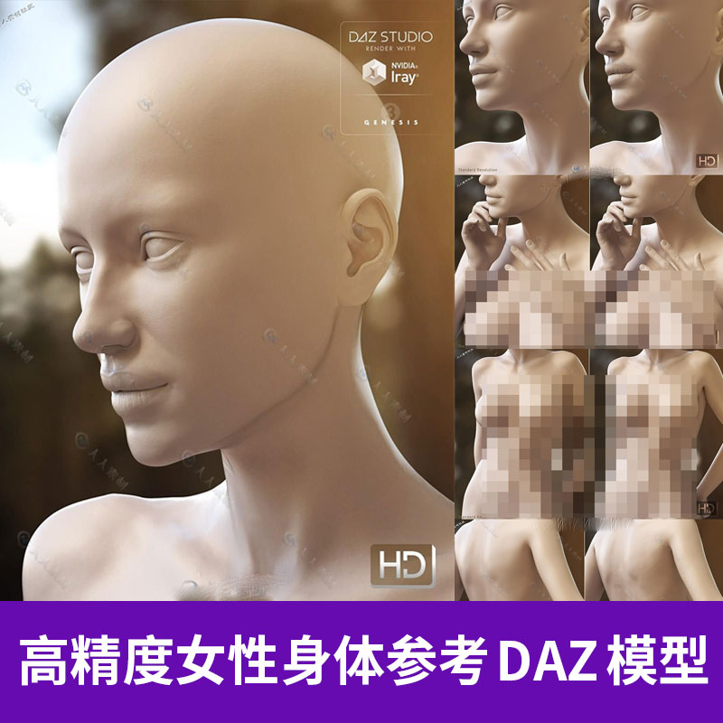 DAZ 3D高精度女性人物模特体型身体部位参考3D三维模型素材A1299图片