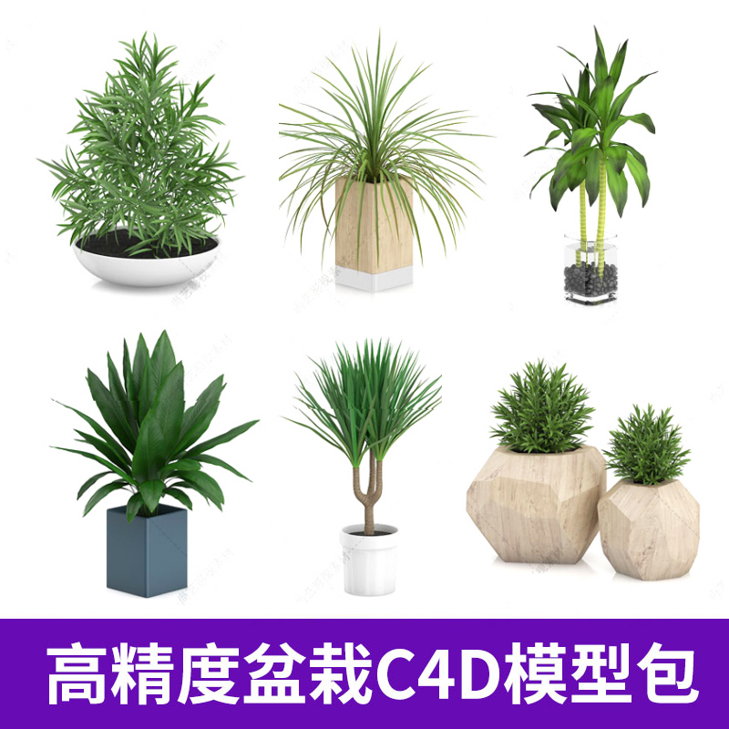 061盆栽C4D模型室内家居小型绿植植物场景摆饰绿化3D素材工程文件图片