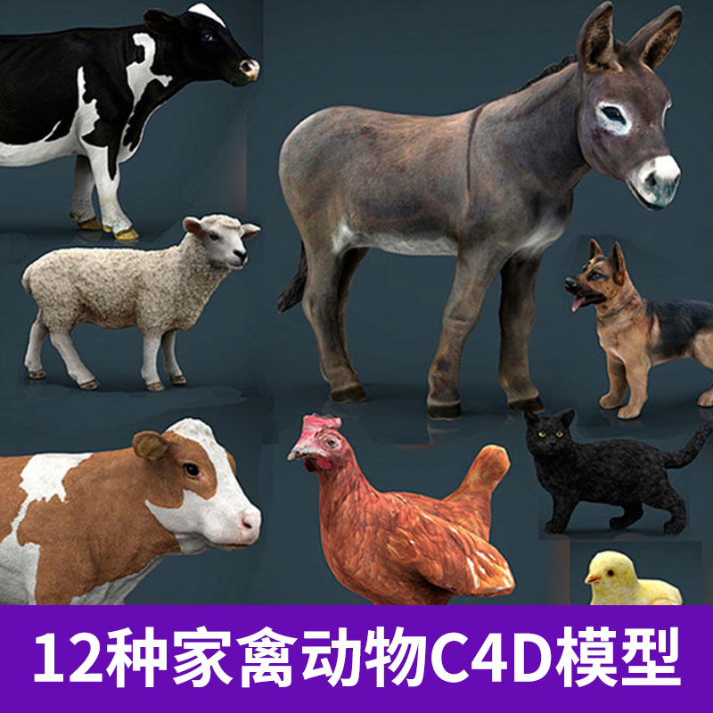 C4DFBX OBJ MAX for Vray12种家禽家畜动物小鸡黑猫3D模型 3617