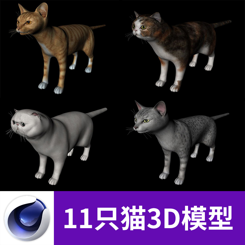 C4D OBJ暹罗猫黑猫白猫加菲猫孟加拉豹猫缅因猫橘猫三维模型A623图片