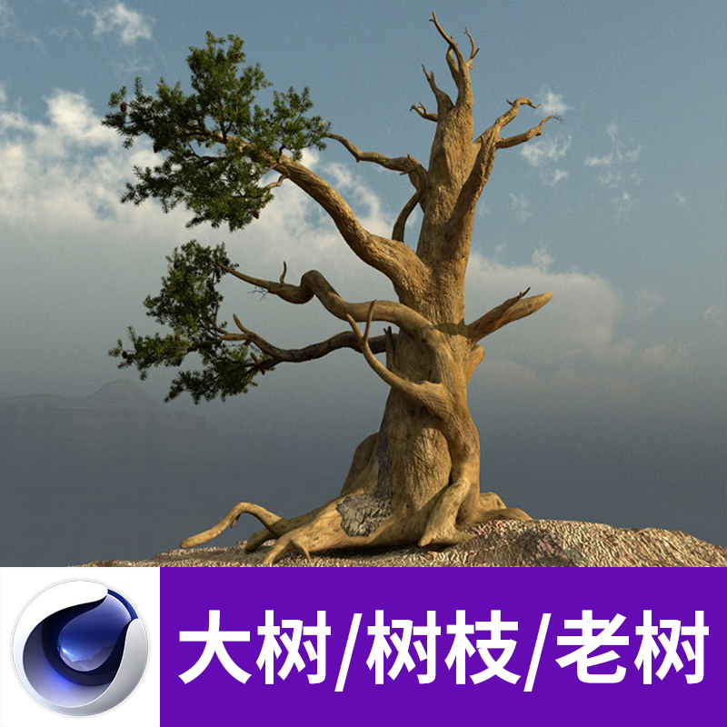 MAX for Vray C4D OBJ 3D大树树枝粗树老树树干植物纹理模型A628图片