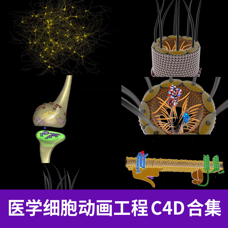 C4D医学神经元素细胞表面蛋白atp合成酶动画工程3D三维素材A1240图片