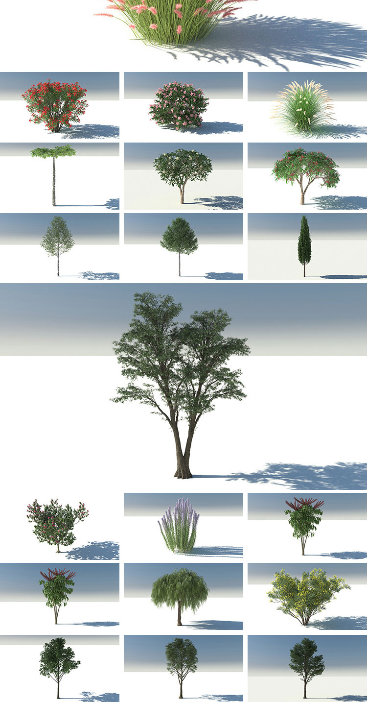 60个高精度植物树木C4D模型建筑设计表现装饰灌木柏树花卉A486 第3张