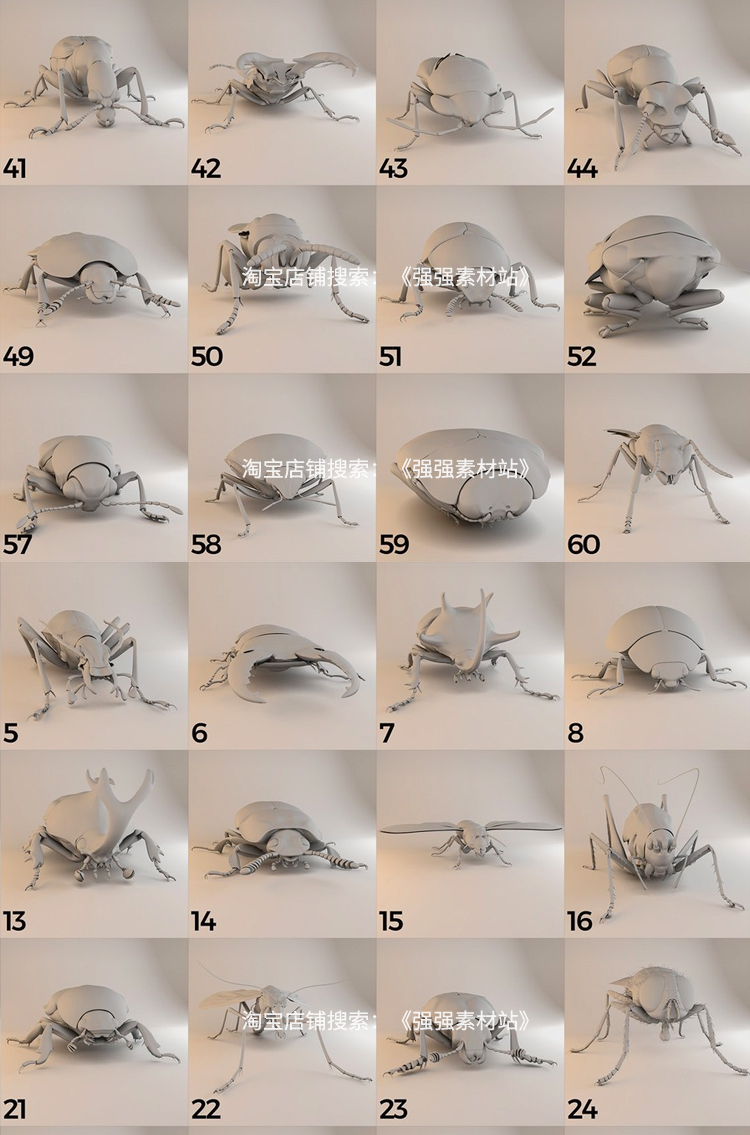 60 组昆虫C4D模型蜜蜂，蚂蚁/蜘蛛/昆虫/甲虫/黄蜂和蚱蜢A132 第3张