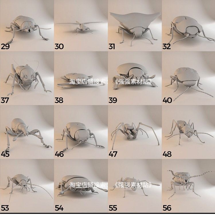 60 组昆虫C4D模型蜜蜂，蚂蚁/蜘蛛/昆虫/甲虫/黄蜂和蚱蜢A132 第4张