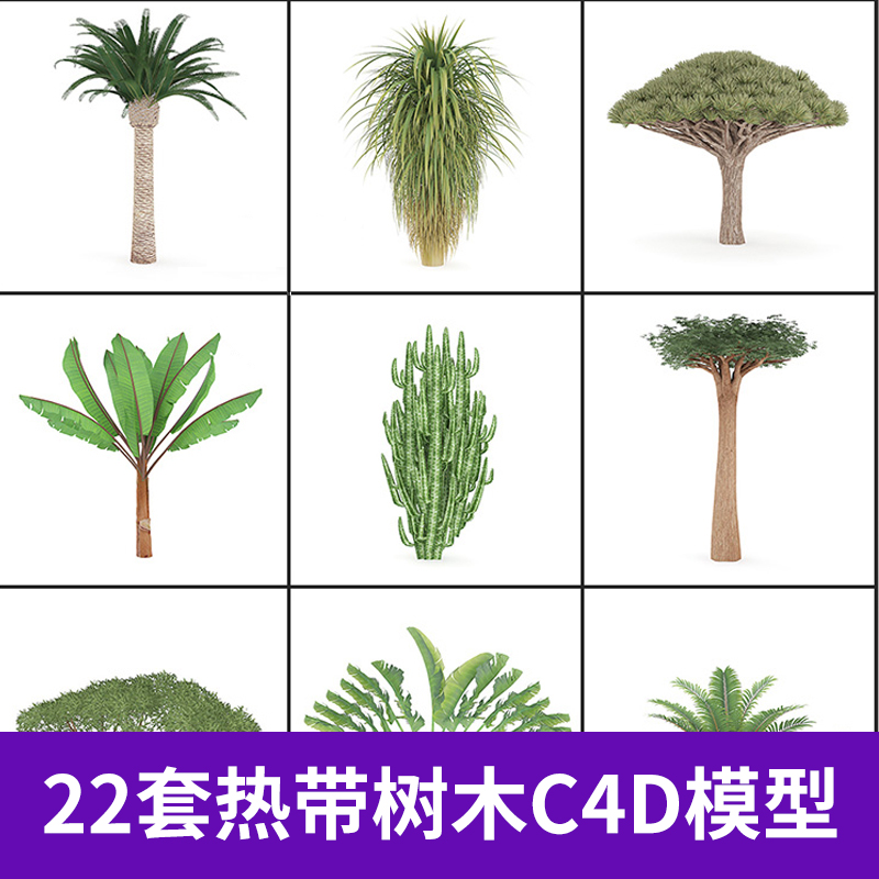 22套热带树木树林芭蕉叶香蕉树C4D模型创意场景3D模型素材A100图片