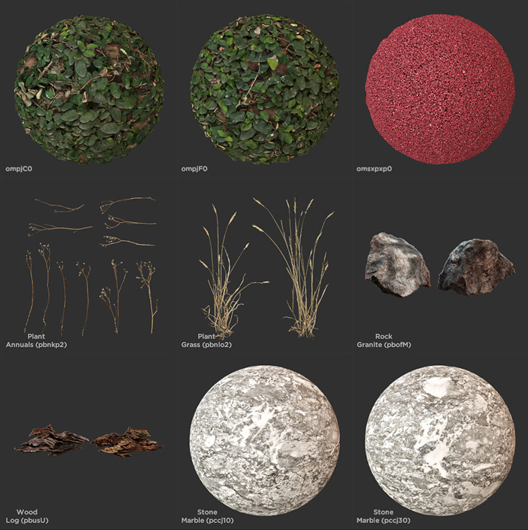 60G森林实景高精度3D纹理材质贴图植物地面石头花草C4D素材A320 第1张