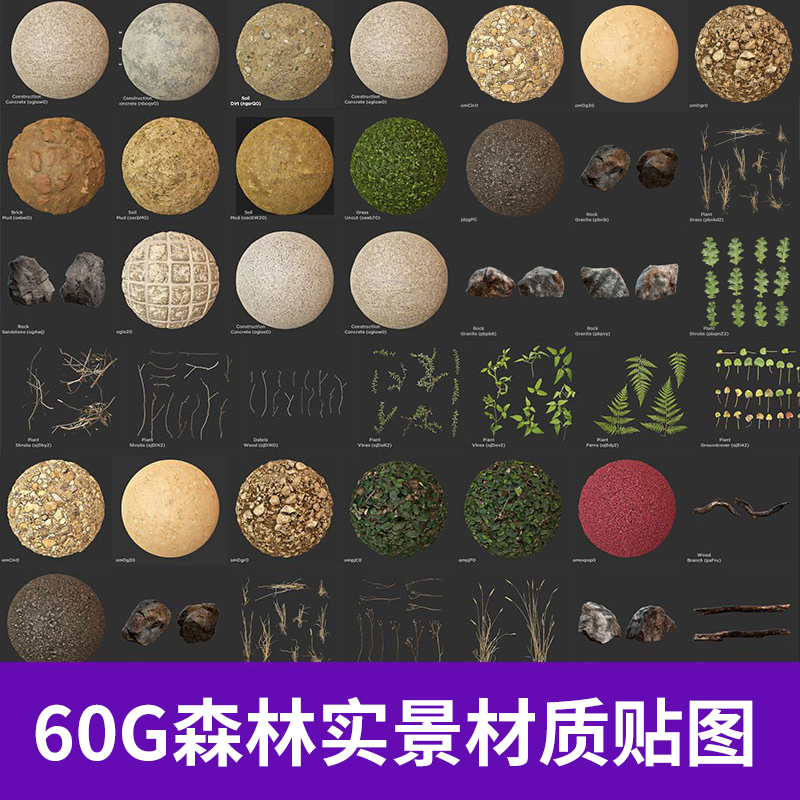 60G森林实景高精度3D纹理材质贴图植物地面石头花草C4D素材A320图片