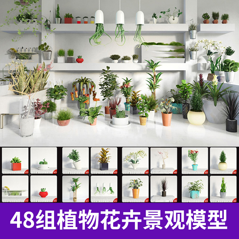 48组室内植物花卉景观3D模型MAX格式合辑室内设计元素A466图片