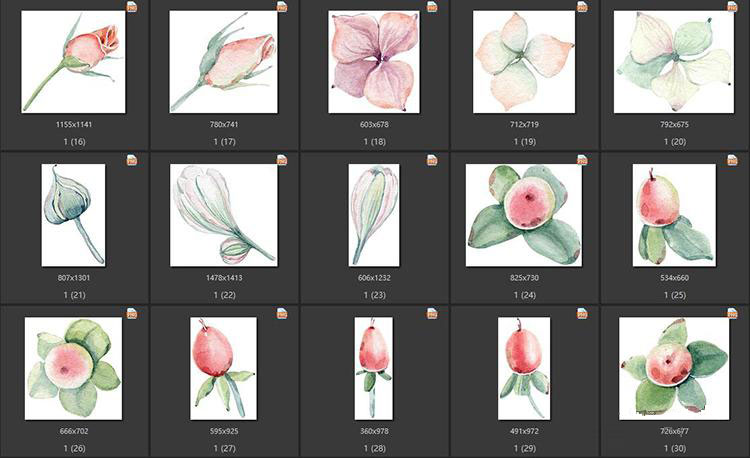 手绘水彩花卉浆果 PS填充图案 面料花型装饰PNG免抠设计素材 第8张