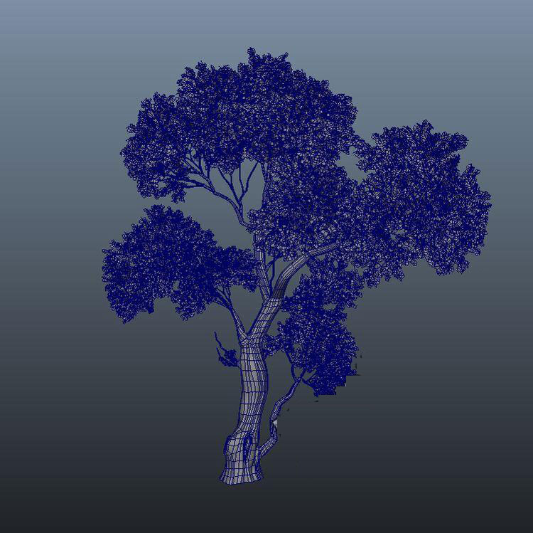 maya 模型 素材 植物模型  树木 带材质贴图 第8张