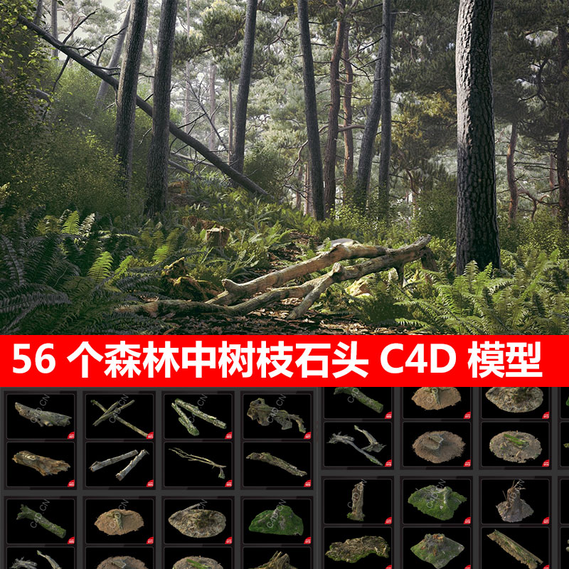 56个森林树枝树干树墩石头C4D 3D植物模型材质贴图三维设计素材图片