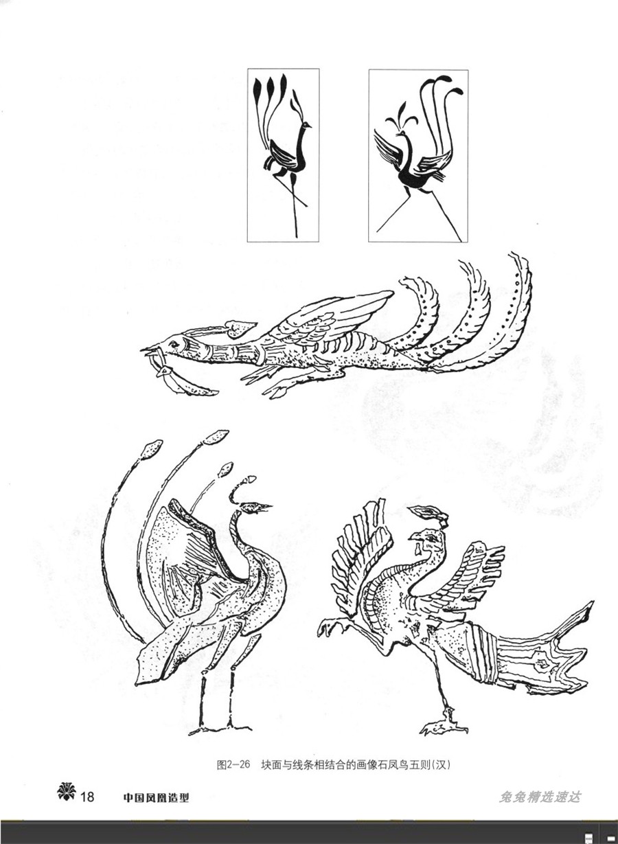 华夏风格 中国凤凰各种形态造型姿势图解素材 漫画插画CG游戏设定 第10张