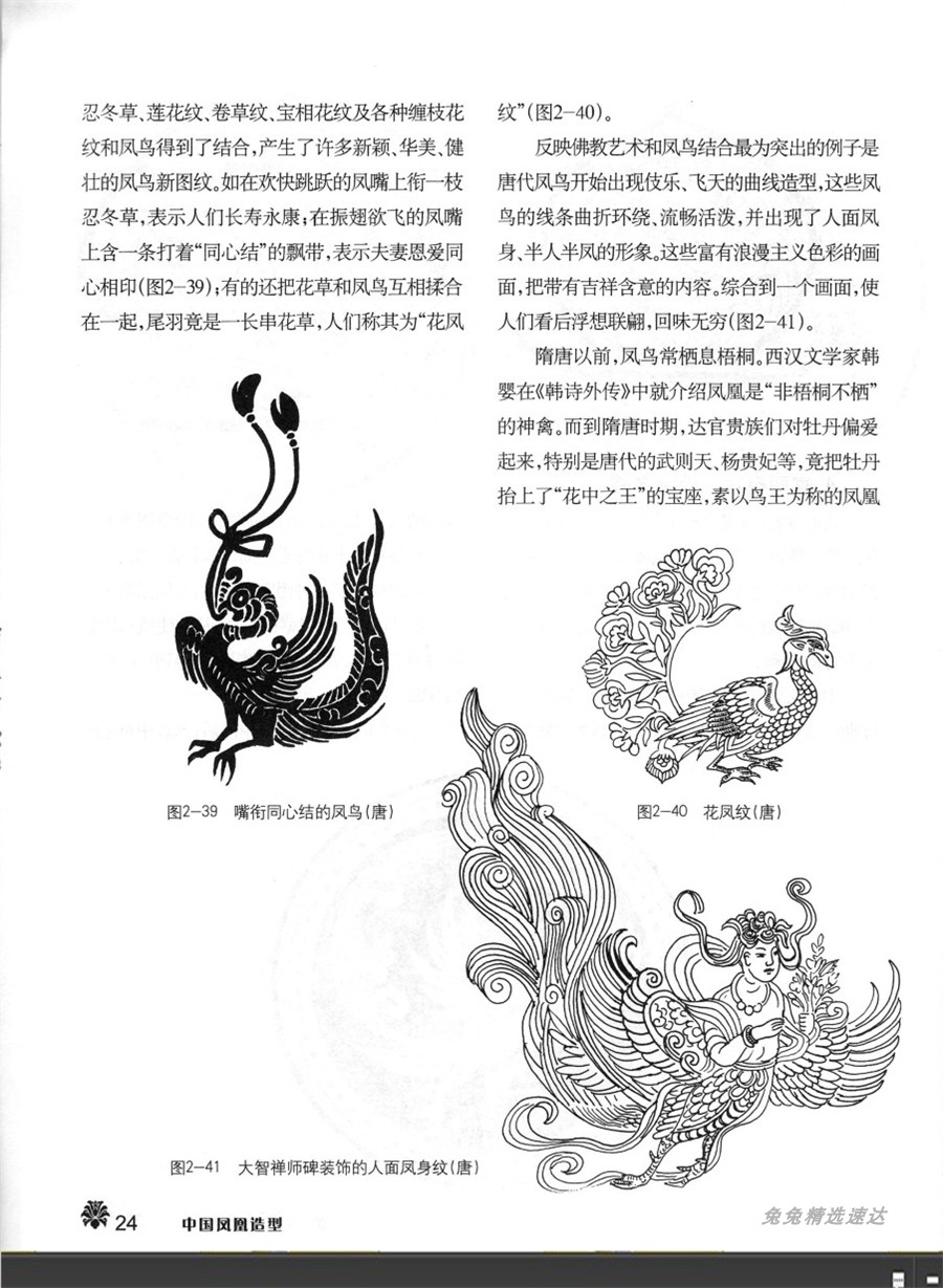 华夏风格 中国凤凰各种形态造型姿势图解素材 漫画插画CG游戏设定 第17张