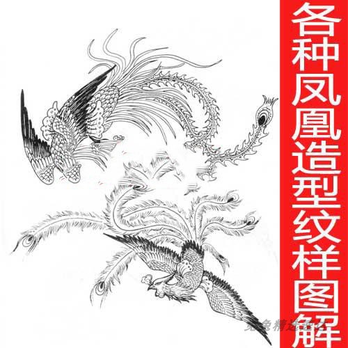 华夏风格 中国凤凰各种形态造型姿势图解素材 漫画插画CG游戏设定