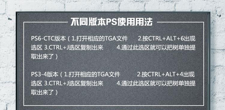 鸟瞰植物树psd分层素材景观园林规划设计资料ps后期效果图源文件 第6张