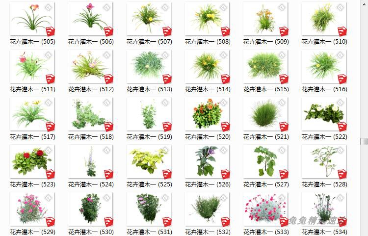 SU园林景观植物模型素材库草图大师环艺树木花草手绘平面Sketchup 第9张