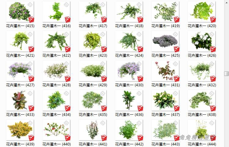 SU园林景观植物模型素材库草图大师环艺树木花草手绘平面Sketchup 第11张