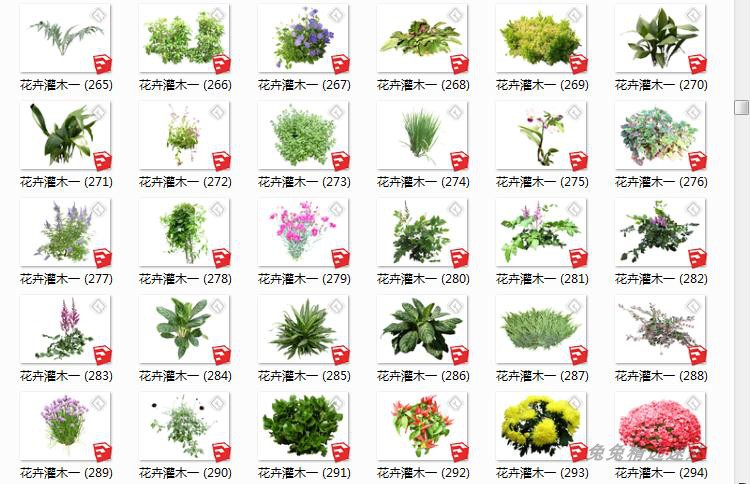 SU园林景观植物模型素材库草图大师环艺树木花草手绘平面Sketchup 第13张