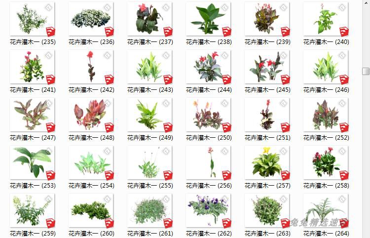 SU园林景观植物模型素材库草图大师环艺树木花草手绘平面Sketchup 第16张