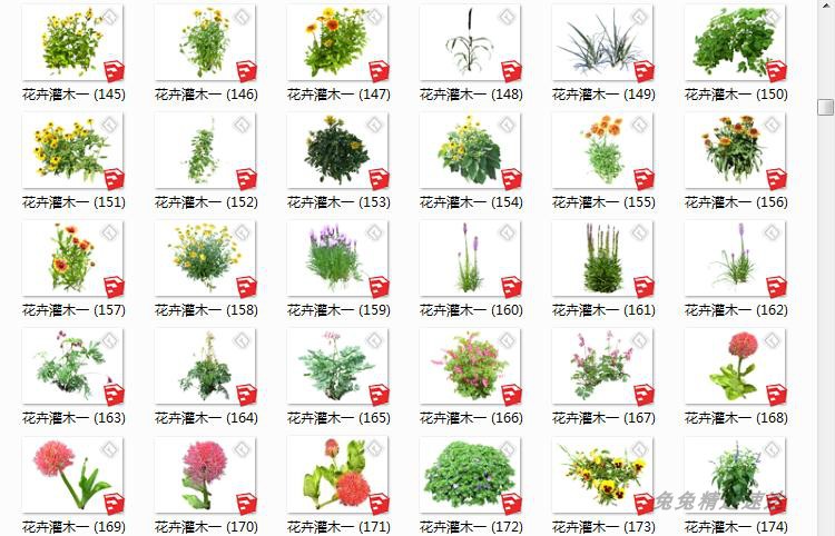 SU园林景观植物模型素材库草图大师环艺树木花草手绘平面Sketchup 第18张