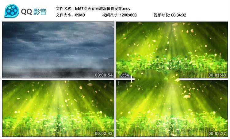 春雨滋润春天植物发芽 唯美高端婚礼led大屏幕视频背景素材 第5张