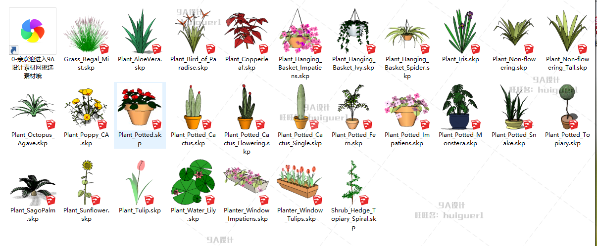 SU园林景观植物树木花草手绘平面模型素材库草图大师sketchup2D3D 第11张