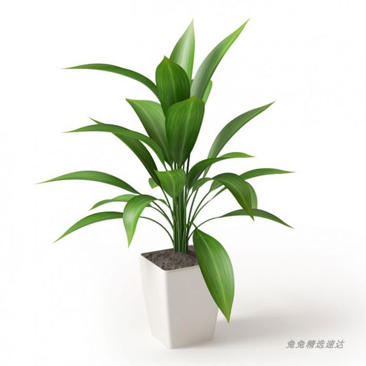 C4D盆栽模型 室内家居小型绿植植物摆饰绿化创意3D素材源文件合集 第11张