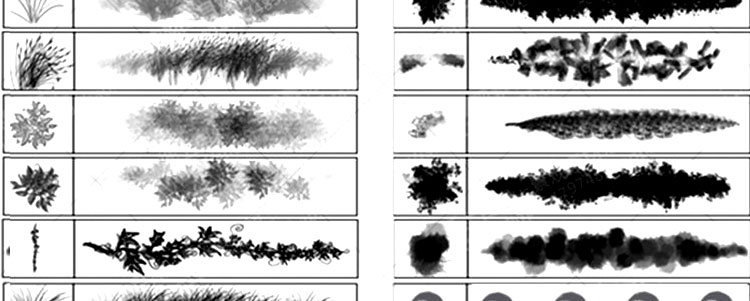 BS1花草树木草本植物PS笔刷平面图剖立面效果图规划建筑景观素材 第10张
