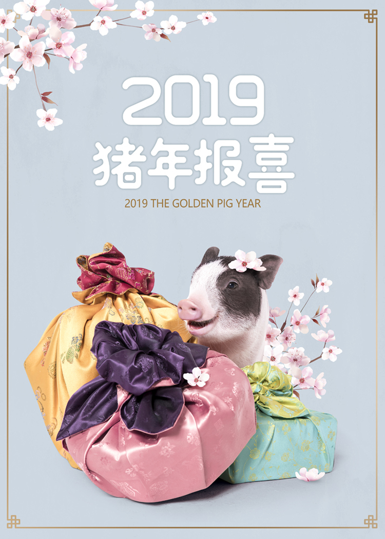 可爱创意金猪年卡通新年2019年宣传活动海报模板PSD文字设计素材 第7张