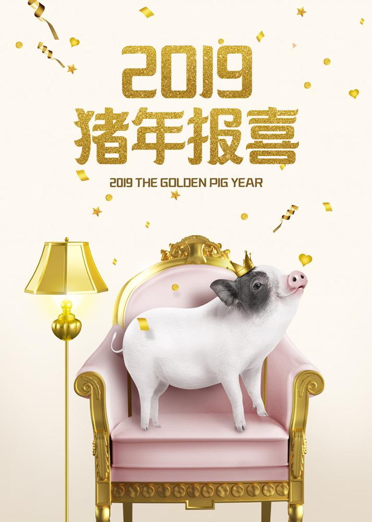 可爱创意金猪年卡通新年2019年宣传活动海报模板PSD文字设计素材 第16张