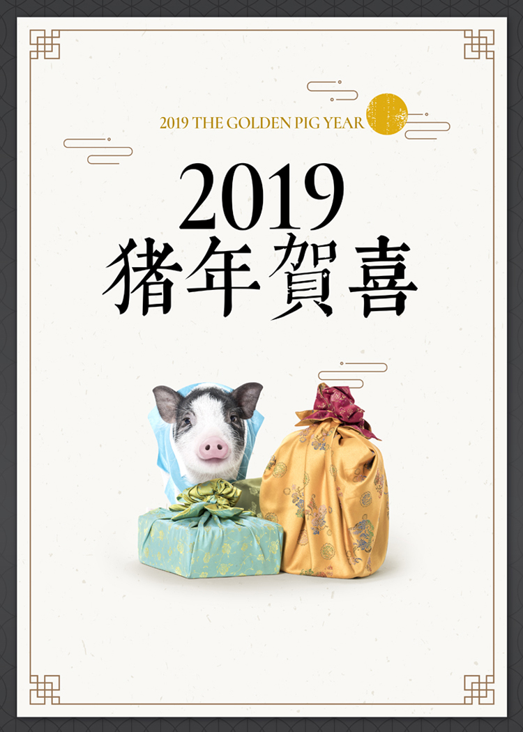 可爱创意金猪年卡通新年2019年宣传活动海报模板PSD文字设计素材 第17张