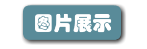 1400张卡通人物设计 三视图 人设角色参考 动漫角色设定素材 第5张