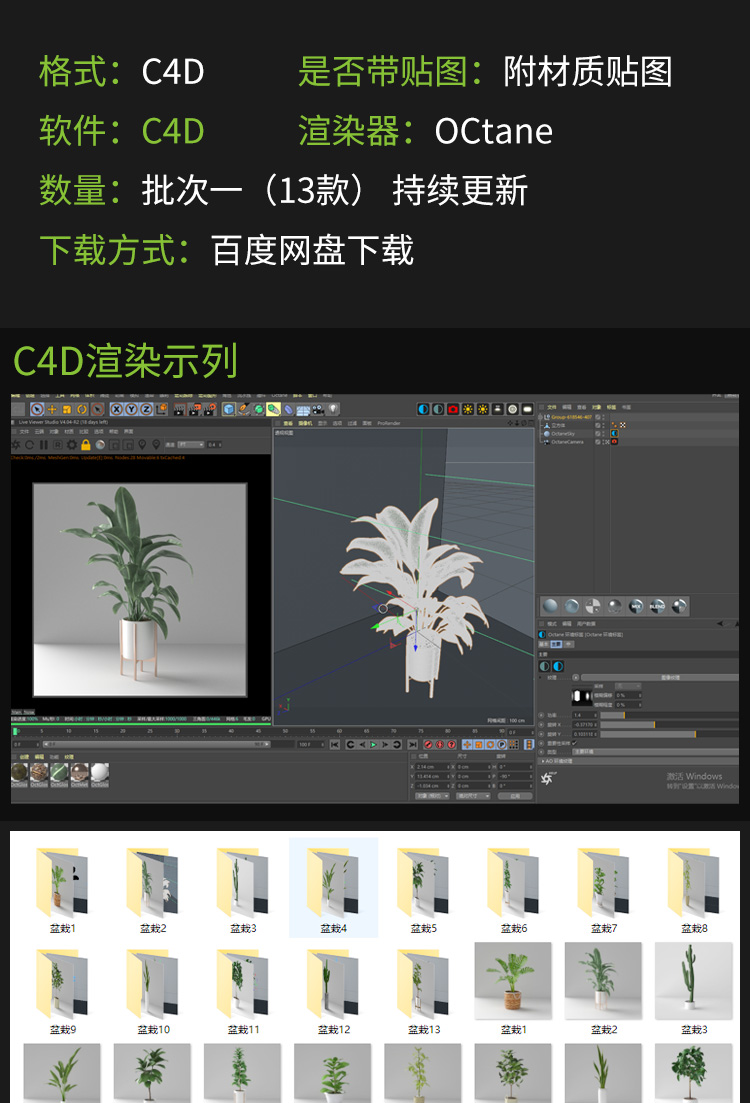 C4D室内植物盆栽模型oc渲染器渲染带材质贴图3d花卉装饰盆栽A1149 第1张