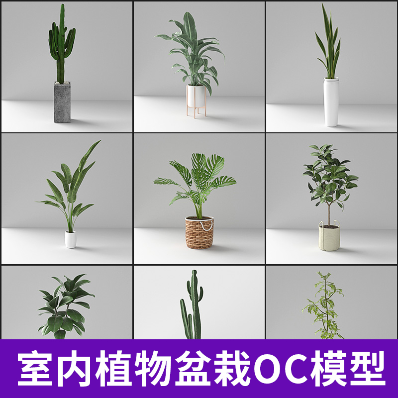 C4D室内植物盆栽模型oc渲染器渲染带材质贴图3d花卉装饰盆栽A1149