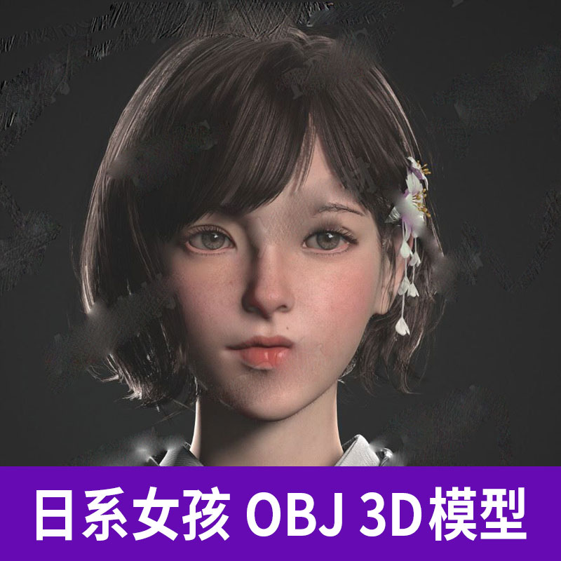 C4D OBJ经典日系女孩人物妹子角色五官眼睛头发手衣服3D模型A1192图片