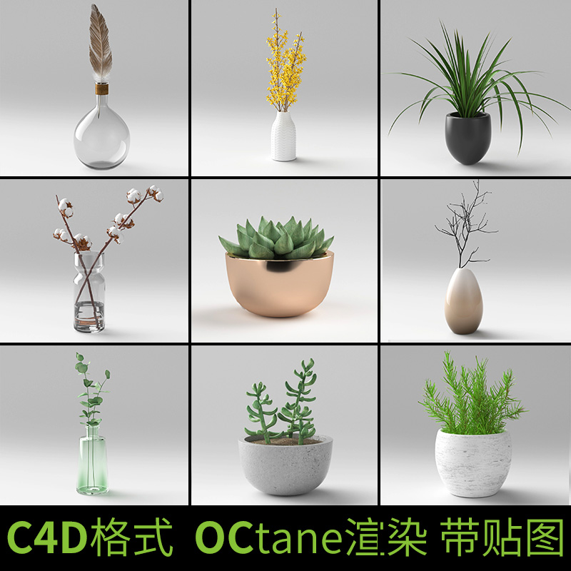 C4D室内植物盆栽oc渲染家居多肉绿植模型渲染带材质贴图A1182图片