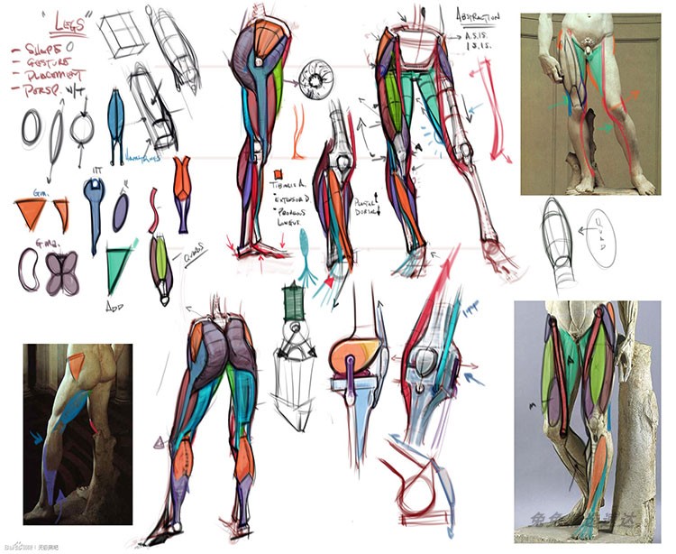 腿部脚足速写动态线稿绘画资料图片集 人体绘画教程参考素材 第14张
