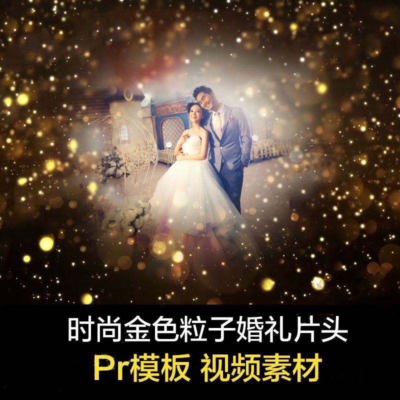 时尚金色粒子婚礼开场照片 PR片头视频 Premiere模板素材 第4张