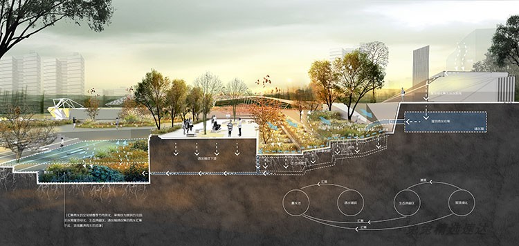 国外景观园林PS立面图剖面图PSD海绵城市效果图素材竞赛分析图 第6张