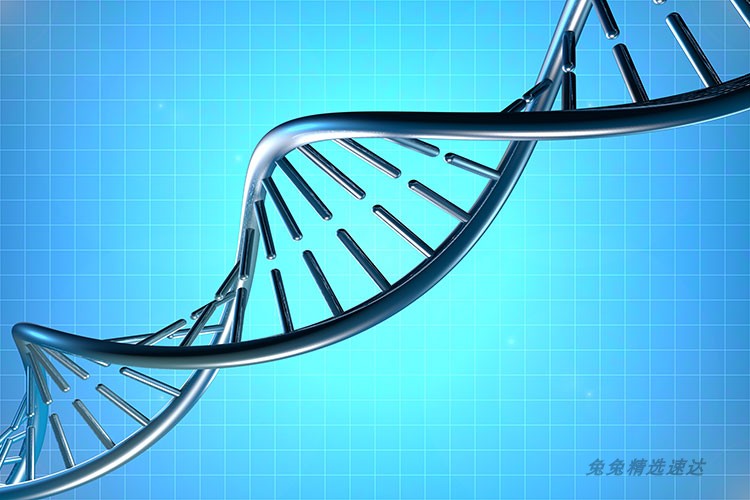 超大超高清图片DNA基因链生物科学细胞基因组合排列设计美工素材 第5张